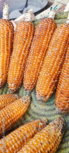 corn on the cob