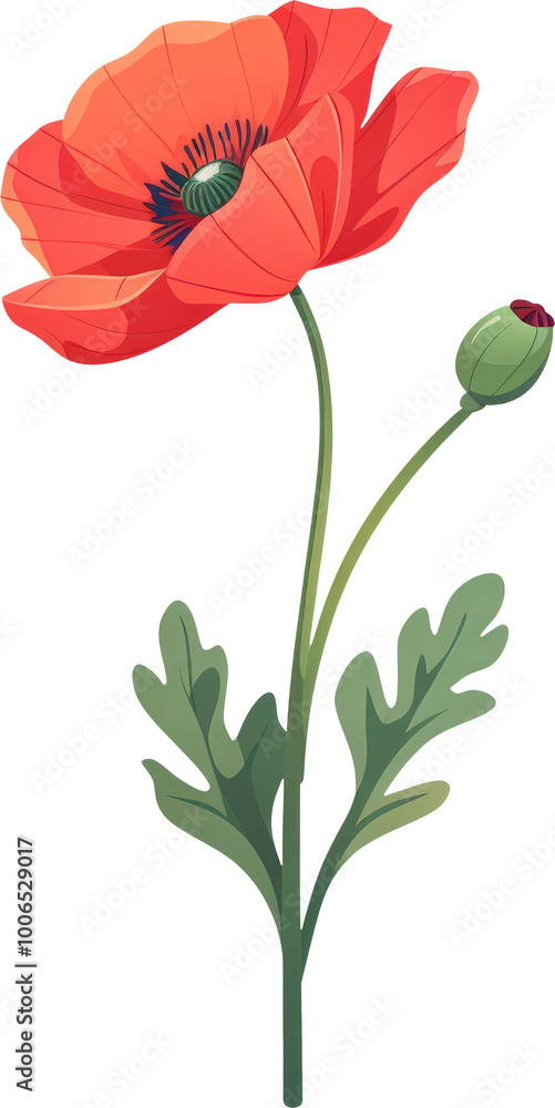 Naklejka premium A single red poppy flower