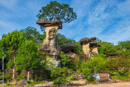 Sandstone pillar (Sao Chaliang) in Pha Taem National Park, Ubon Ratchathani  province, Thailand. photo