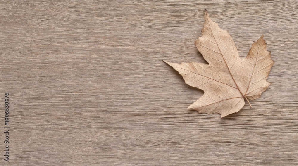 Serene Beauty of a Maple Leaf: Close-up on Rustic Wooden Surface Texture. Serene Beauty of a Maple Leaf: Close-up on Rustic Wooden Surface Texture.