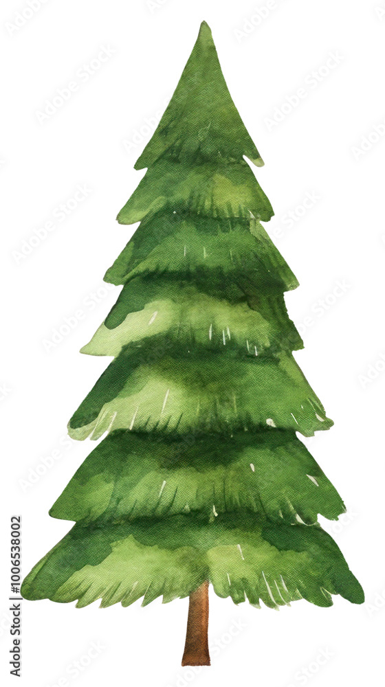 Fototapeta premium PNG watercolor Christmas trees plant.