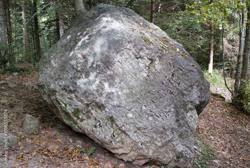 An ancient stone, weathered by thousands of years, rests in Liechtenstein’s Schellenberg Forest, embodying timeless history and the enduring whispers of nature’s past. photo