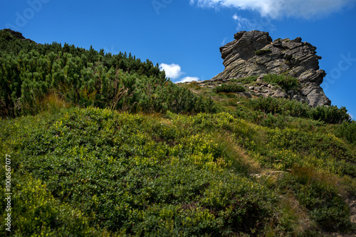 Chornohora ridge, mountain ledge from Vukhaty Kamin, Eared Stone, Dzembronia ...