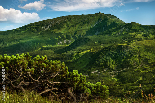 View of Mount Pip Ivan with observatory silhouette, alpine height, dwarf pine...