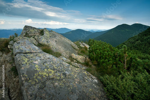 large stone with moss, dwarf pines, view of mountain tops of Chornohirsky rid...