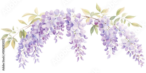 Fototapeta Naklejka Na Ścianę i Meble -  PNG Soft color a small bush wisterias illustration watercolor blossoms.