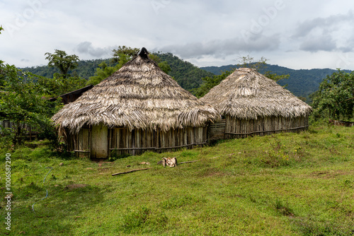View of the traditional Bribir indigenous hut, made of mud and wood in Talamanca, Limon Costa Rica