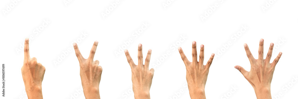 Close-up Hand Gestures Counting Numbers One to Five on White Background - Isolated Hands in Sequence - Perfect for Educational, Communication, and Visual Learning Concepts. Close-up Hand Gestures Counting Numbers One to Five on White Background - Isolated Hands in Sequence - Perfect for Educational, Communication, and Visual Learning Concepts.