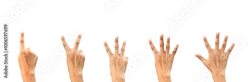 Close-up Hand Gestures Counting Numbers One to Five on White Background - Isolated Hands in Sequence - Perfect for Educational, Communication, and Visual Learning Concepts.