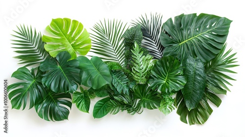 Lush Green Tropical Leaves Arrangement