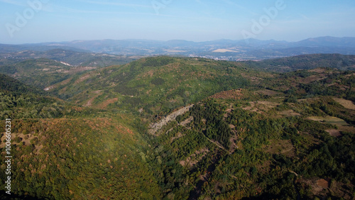 Aerial view on the top of the hill and forest.