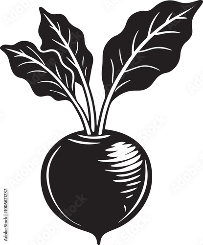 beetroot silhouette with white background.