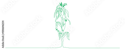 corn plant line art style illustration