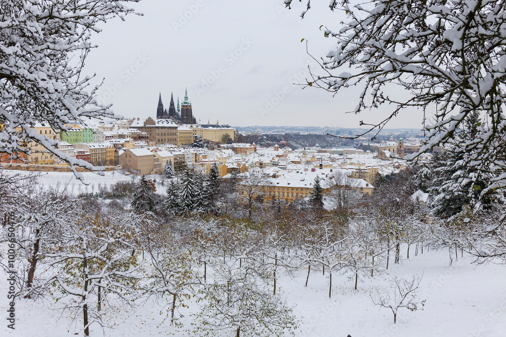 Snowy Prague City with gothic Castle from the Hill Petrin, Czech republic