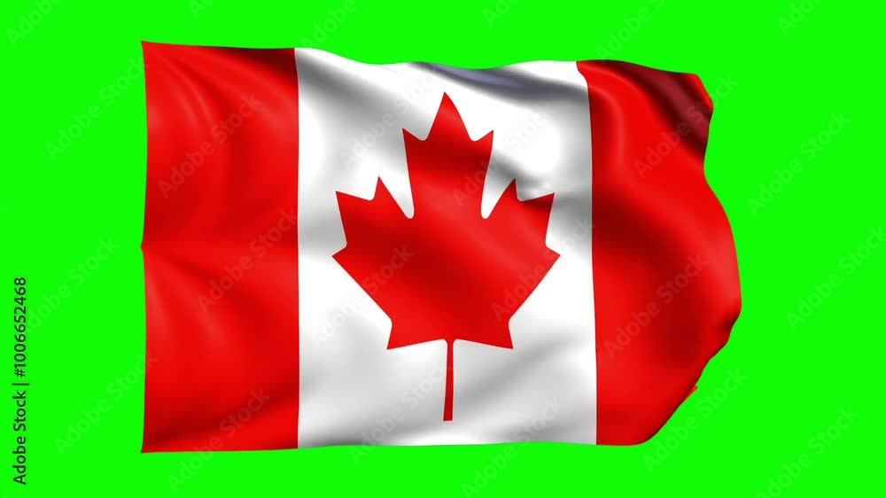 Canada waving flag animation on green screen, perfect for chroma keying and motion graphics Canada waving flag animation on green screen, perfect for chroma keying and motion graphics