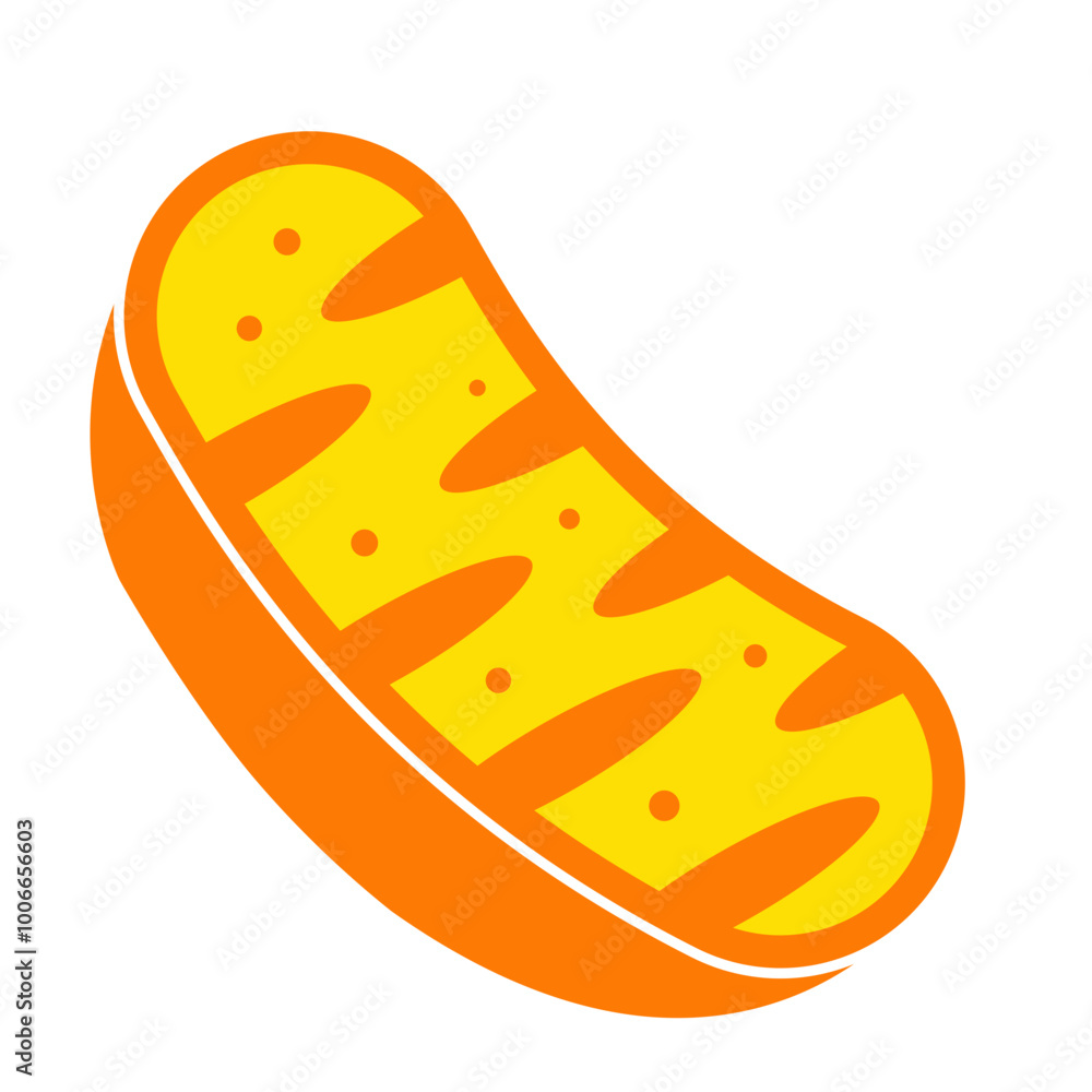 Mitochondria icon, mitochondrium, genome, health Mitochondria icon, mitochondrium, genome, health