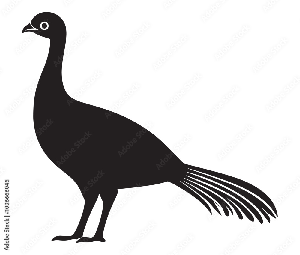 Illustration of a bird, Vector birds, Silhouette of a bird Illustration of a bird, Vector birds, Silhouette of a bird