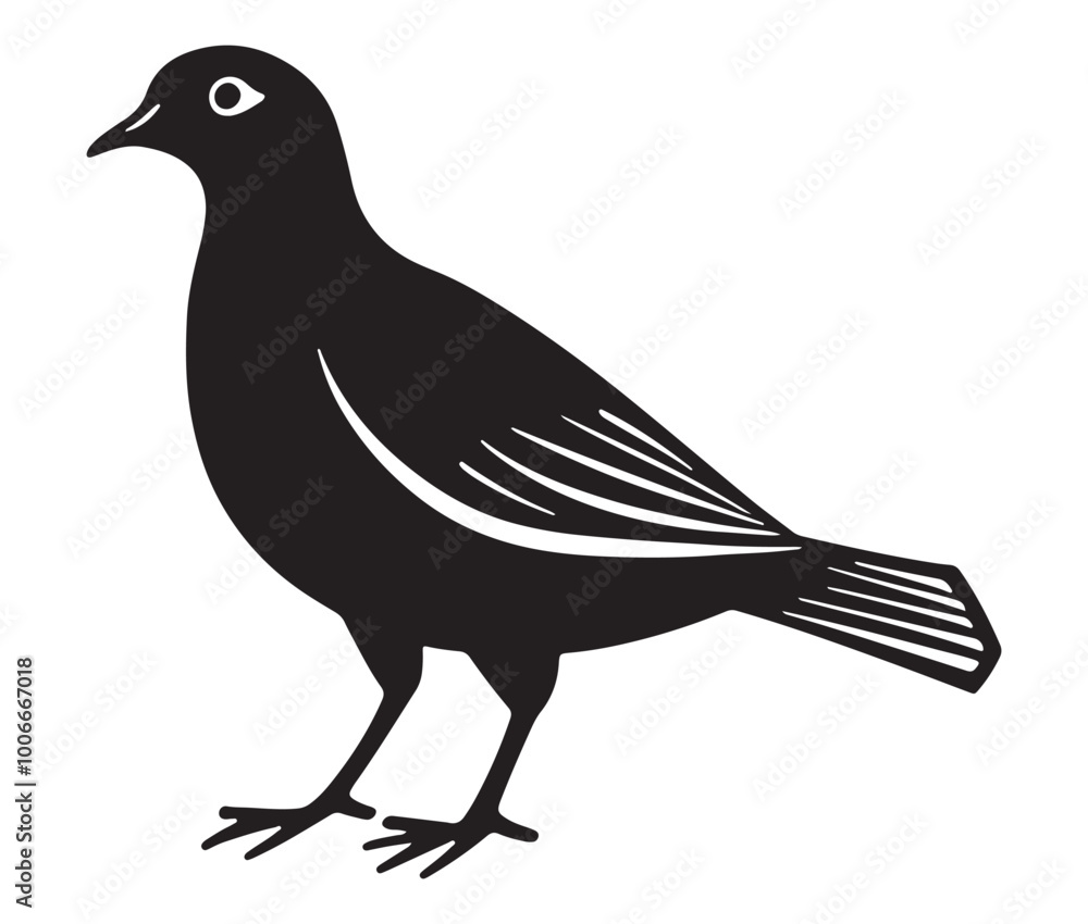 Illustration of a bird, Vector birds, Silhouette of a bird Illustration of a bird, Vector birds, Silhouette of a bird