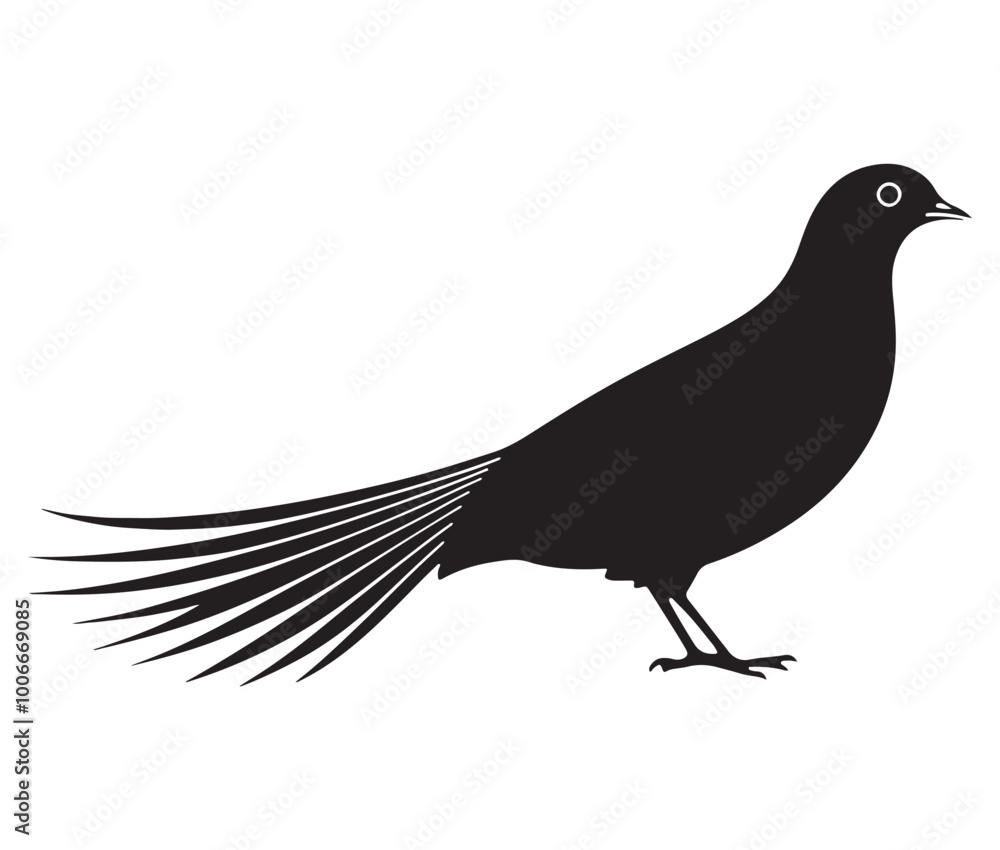 Fototapeta premium Illustration of a bird, Vector birds, Silhouette of a bird
