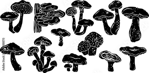 Large set of different mushrooms. Linocut style element texture surface vector	