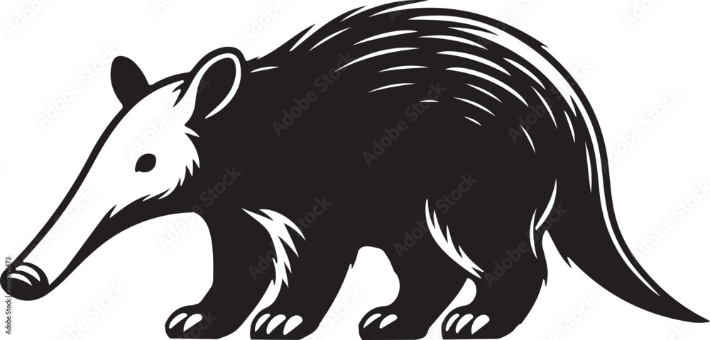 Aardvark silhouette vector white background Aardvark silhouette vector white background