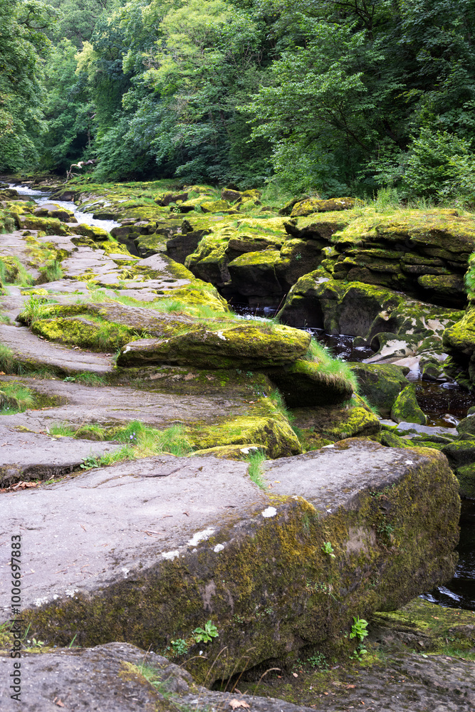 The Strid on the river Wharfe in summer, Yorkshire, England The Strid on the river Wharfe in summer, Yorkshire, England