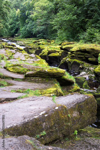 The Strid on the river Wharfe in summer, Yorkshire, England