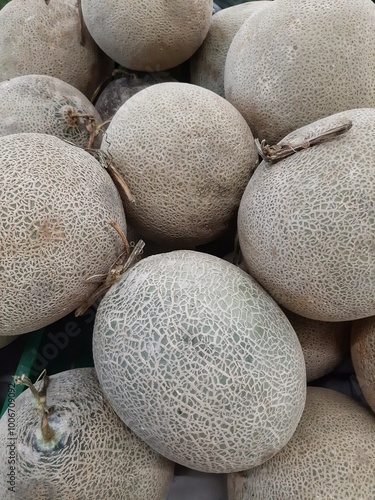 close up of fruit melon background