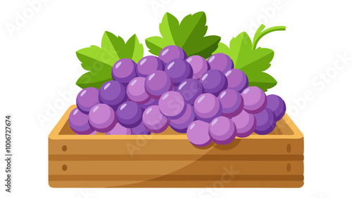 grapes in a box - Vector illustration of  grapes isolated on white, grapes vector art