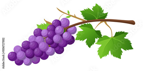 Wallpaper Mural bunch of grapes - Vector illustration of  grapes isolated on white, grapes vector art Torontodigital.ca