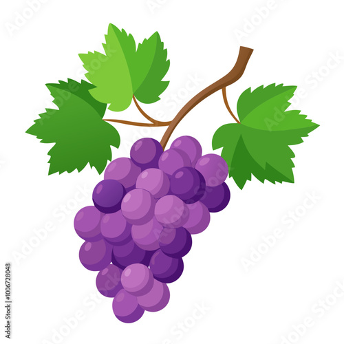 bunch of grapes - Vector illustration of  grapes isolated on white, grapes vector art