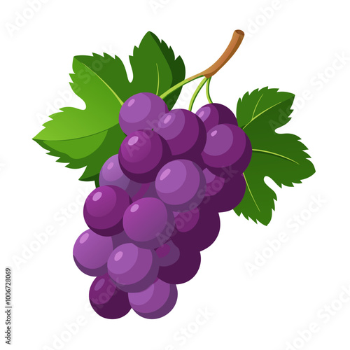 bunch of grapes - Vector illustration of  grapes isolated on white, grapes vector art