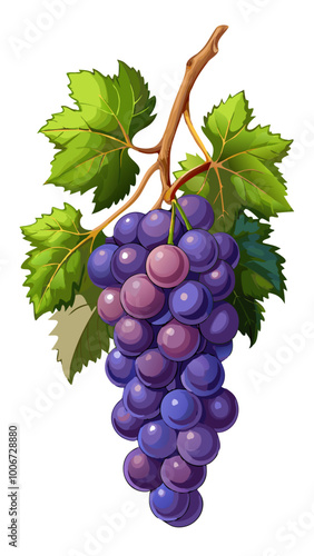 bunch of grapes - Vector illustration of  grapes isolated on white, grapes vector art