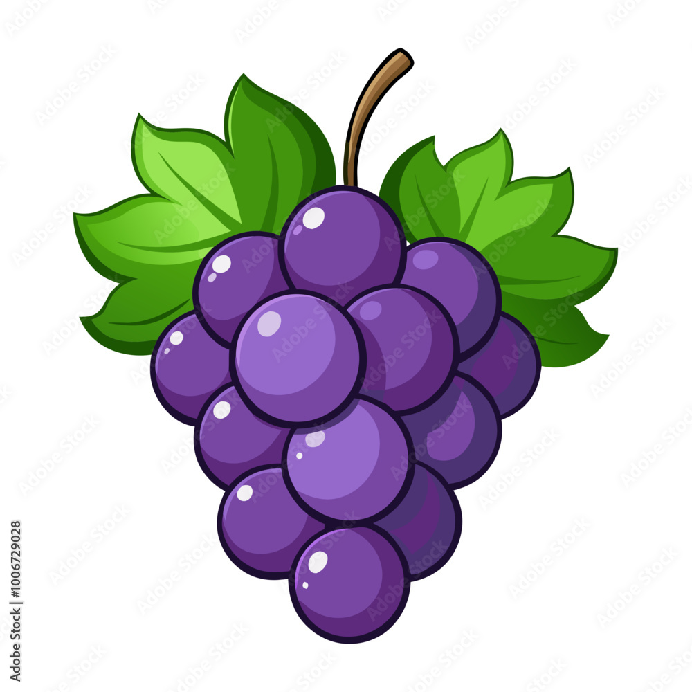 bunch of grapes - Vector illustration of grapes isolated on white, grapes vector art bunch of grapes - Vector illustration of grapes isolated on white, grapes vector art