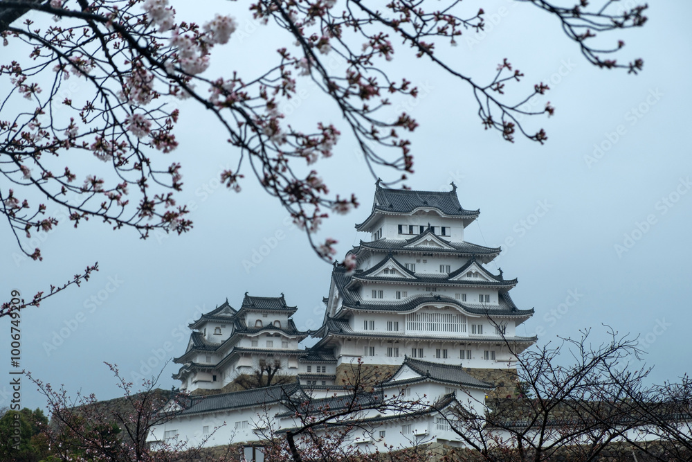 Himeji Castle in Spring, Japan. White Heron and cherry blossoms Himeji Castle in Spring, Japan. White Heron and cherry blossoms