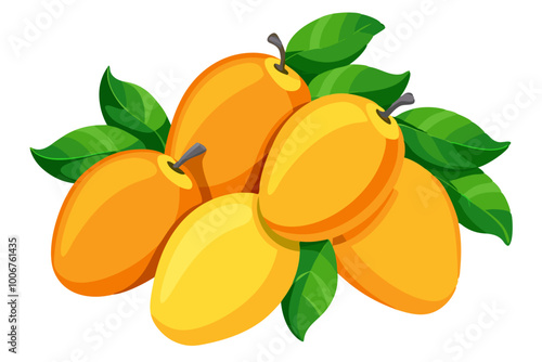 illustration of an mango - Vector illustration of  mango isolated on white, mango vector art