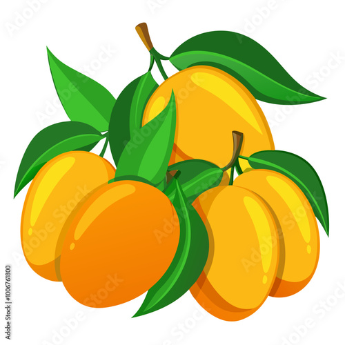 illustration of mangoes - Vector illustration of  mango isolated on white, mango vector art