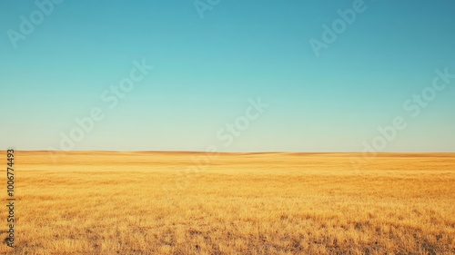 Vast, golden field stretching to the horizon under a clear blue sky.