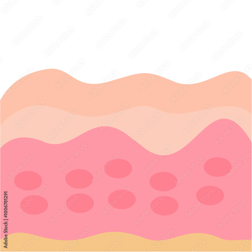 Illustration of human skin Illustration of human skin