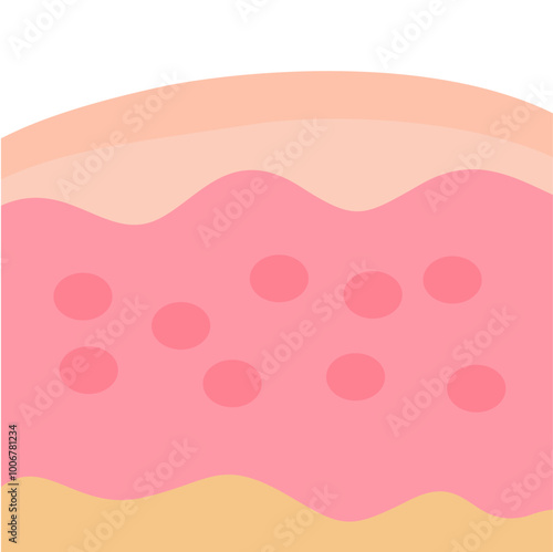 Illustration of human skin