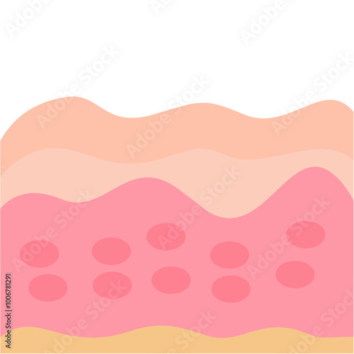 Illustration of human skin