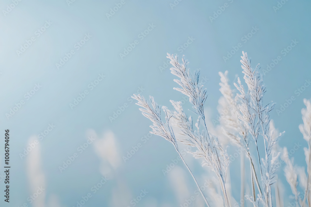 A minimalistic winter background featuring soft hues, snow-covered landscapes, and subtle details that capture the essence of winter's calm