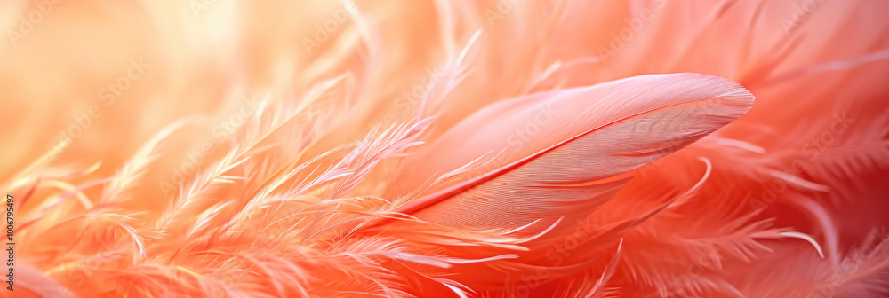 A bird's feather of color peach fuzz. A bird's feather of color peach fuzz.