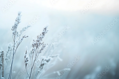 A minimalistic winter background featuring soft hues, snow-covered landscapes, and subtle details that capture the essence of winter's calm