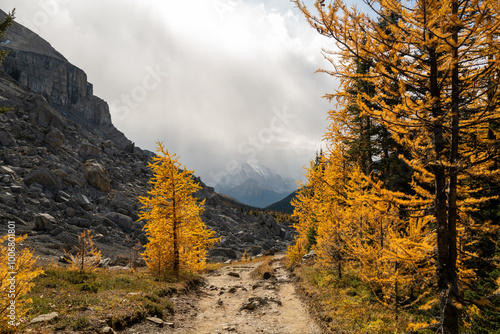 Mount Temple viewed on a fall day from Deception Pass near Hidden Lake Halfway Hut, Alberta, Canada. 