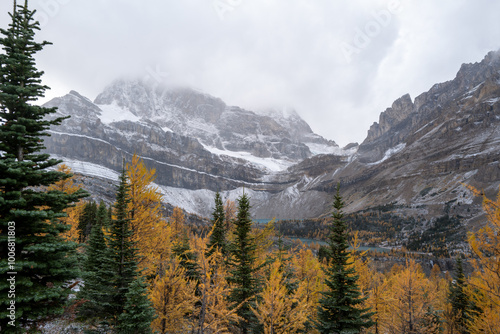 Skoki route looking at the Wall of Jericho mountain, Myosotis Lake and Zigadenus Lake on a chill Autumn day.