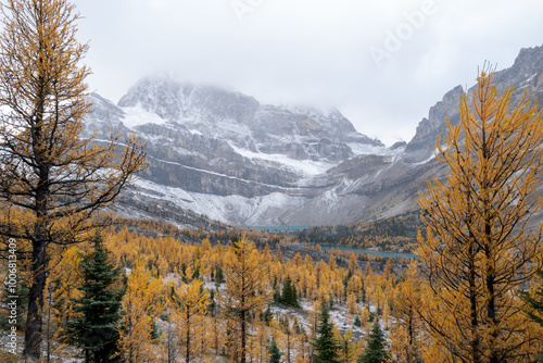 Skoki route looking at the Wall of Jericho mountain, Myosotis Lake and Zigadenus Lake on a chill Autumn day.