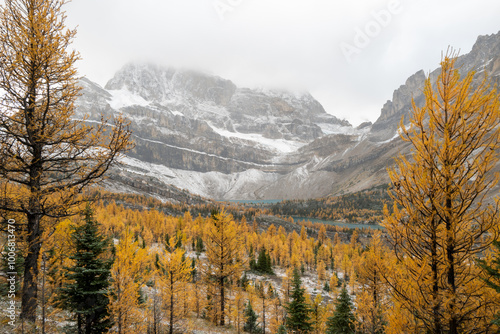Skoki route looking at the Wall of Jericho mountain, Myosotis Lake and Zigadenus Lake on a chill Autumn day.