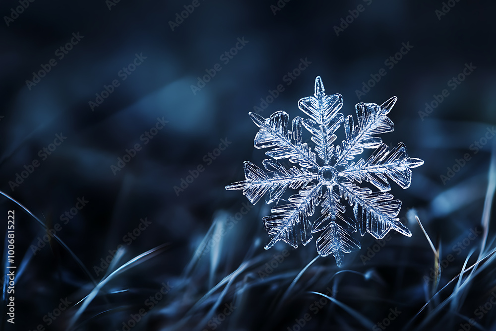 A delicate and intricate snowflake with sharp, crystalline arms branching out symmetrically from the center A delicate and intricate snowflake with sharp, crystalline arms branching out symmetrically from the center