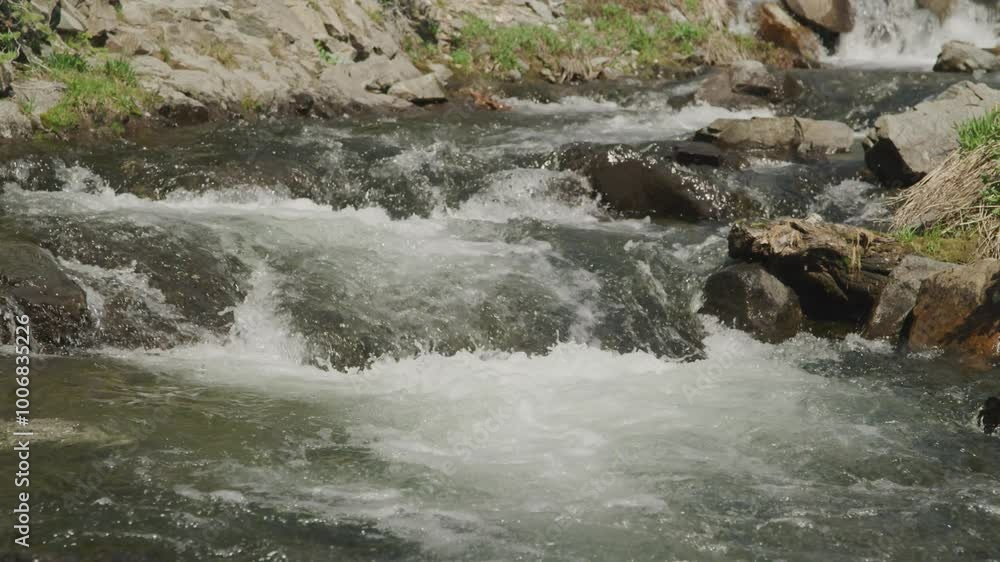 Slowmotion close up of river rapids in forest in Montana in summer Slowmotion close up of river rapids in forest in Montana in summer
